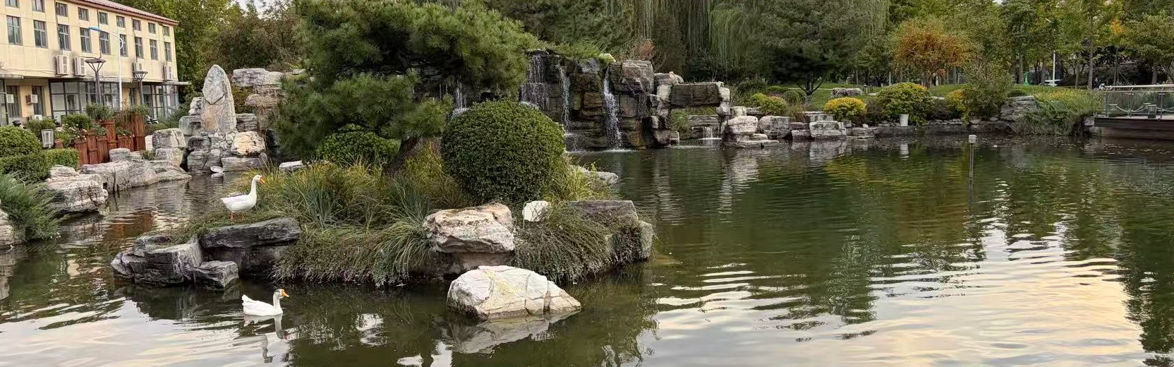 校园水景与园林实景